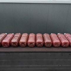 PSB メダカ　めだか　2L 1000円