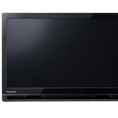 パナソニック ポータブル地上・BS・110度CSデジタルテレビUN-19F9