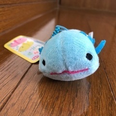 ウーパールーパー