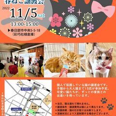 １１/５（土）春ねこ譲渡会
