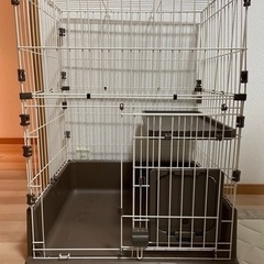猫ゲージ