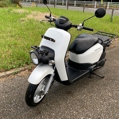 ベンリイ50プロ