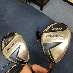 ゴルフクラブセット一式 20000円 MizunoEurusの画像