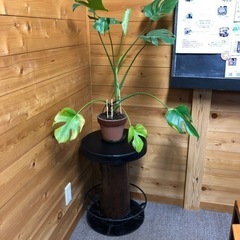 スツール　椅子　バー　カウンター　テーブル　ヴィンテージ　中古の画像