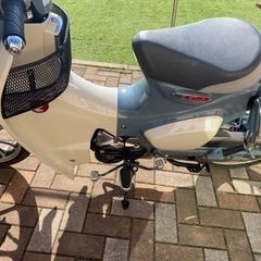 c125 ホンダカブ　廃盤色の画像