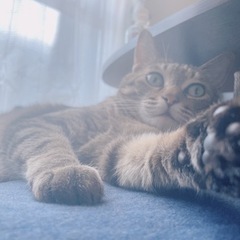 暇な時話しましょう