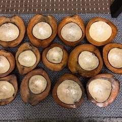 バリ島で購入 ココナッツのお皿の画像