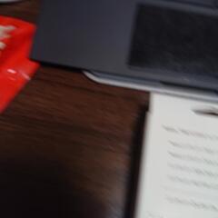 ３ＤＳ用ACアダプターの画像