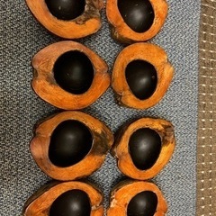 バリ島で購入 ココナッツのお皿(黒)の画像