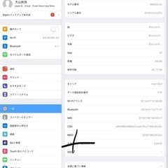 APPLE iPad Pro IPAD PRO 12.9 SB WI-FI+CELL 64GB 2018 GR 第2世代の画像