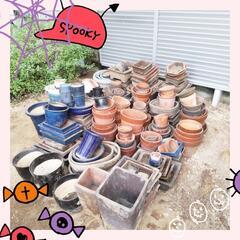 【決定】🎃植木鉢🎃     0円