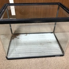 水槽※水たまりますが、昆虫飼育に利用してました