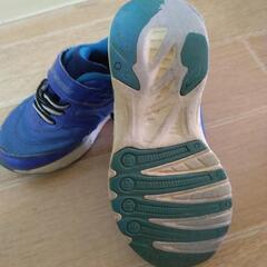 瞬足　SYUNSOKU　17.0cmの画像