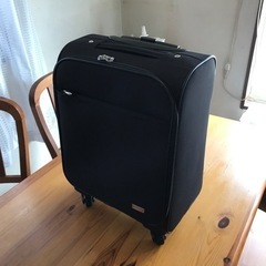 キャリーバッグPUJOLS