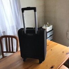 キャリーバッグPUJOLSの画像