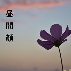 昼間顔　（既婚者交流・お友達サーコー（発音良し））