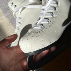 フィギュアスケート １９cmの画像