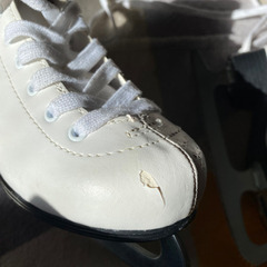 フィギュアスケート １９cmの画像