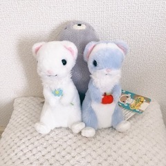 ミニぬいぐるみ フェレット ねこ 3体セット