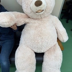 コストコ　大きなクマさん　僕を拾ってください♪