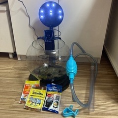 水槽セット꒰ღ˘◡˘ற꒱