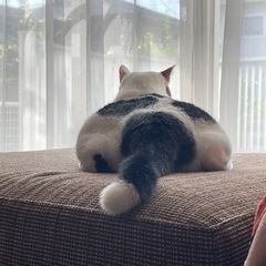 お友達が欲しい👭