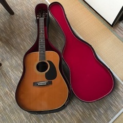 プロマーチン アコースティックギター