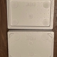 発泡スチロール 今だけプレゼントありの画像