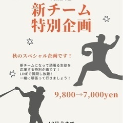 野球塾（個人、団体）