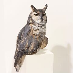 Owls 2022 - 中央区