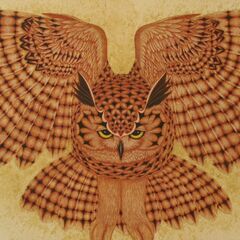 Owls 2022 − 東京都