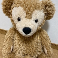 ダッフィーちゃんとパスケースの画像