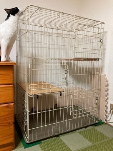 お譲り先決まりました　猫ケージ