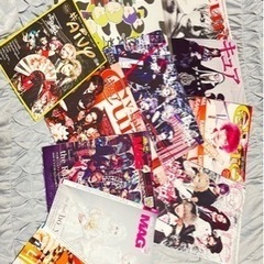 【急募】the Raid.まとめ売り【お値下げしました】