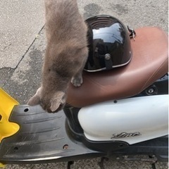原付　不動車