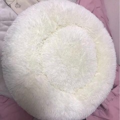 試しに使いたい方いかがですか？ 猫 ベッド 犬