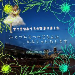 🍀オカメインコ 🕊‎ おうち決まりました🍀