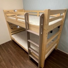 ★たくさんのお問い合わせをありがとうございました★お引渡し先が決...