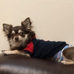 決まりました！