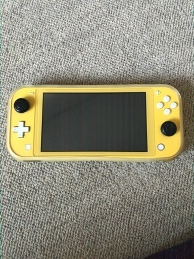 Switchライト本体