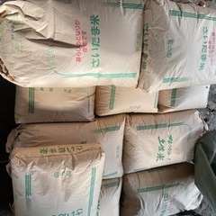 小米(くず米)25キロ2000円　鳥さんの餌などに‼︎