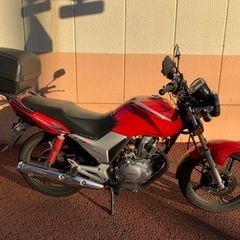 HONDA  CBF125  マニュアル　MT ホンダ　125cc
