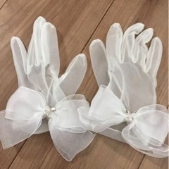 ※確認用※ベール　グローブ