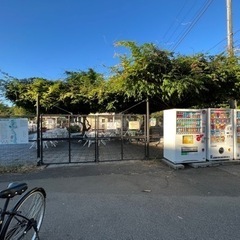散歩×雑談 石神井公園を散歩して健康になろう♬ - 練馬区