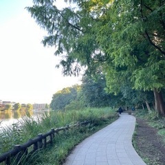 散歩×雑談 石神井公園を散歩して健康になろう♬ − 東京都