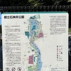 散歩×雑談 石神井公園を散歩して健康になろう♬ - メンバー募集