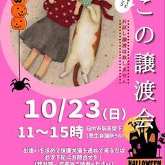 ねこ縁結びの会 ー日向市ー