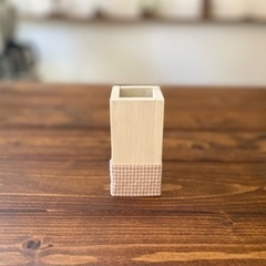 (C.02)コーヒーの木 水耕栽培の画像