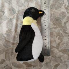 ペンギン　ぬいぐるみ　14cm