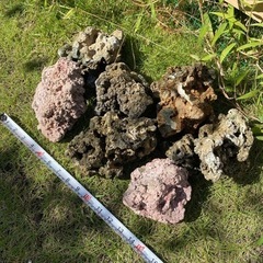 海水水槽用　ライブロック　珊瑚